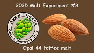 Opal 44 toffee malt - Brewtubers 2025 malt experiment #8