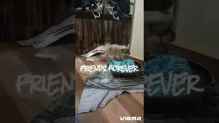 my dog is angry sem tu sem face gussa hai Bhai 😂😂