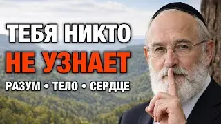 3 еврейских правила, которые меняют человека навсегда | Еврейская мудрость