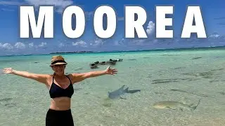 The Stunning Incomparable MOOREA! 🇵🇫
