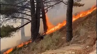 Massive Wildfire in Spain Brought Under Control
