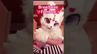 Your femboy reminder as always! 💖✨ #furry #furries #fursona  #fursuit #cosplay