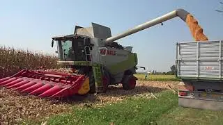 Trebbiatura mais 2020 | Claas Lexion 570