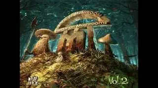 Infected Mushroom   Friends On Mushrooms Vol  2 Full Album 2013 HD