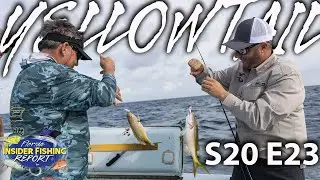 Fill Your Fish Box With Yellowtail Snapper | Florida Fishing Reports Sept. 5-11