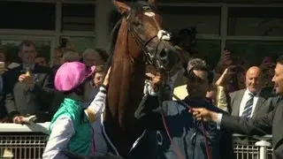 A record-breaking horse's special helper