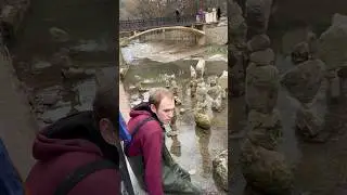Интервью художника, известного своим Site Specific Art в Кисловодске