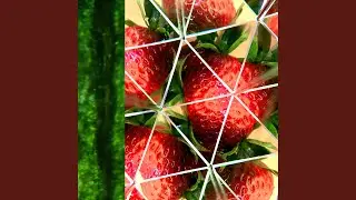 Strawberry Flavor