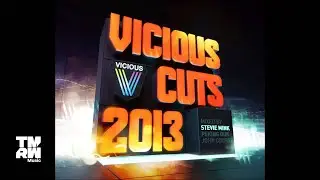 Vicious Cuts Megamix - Stevie Mink