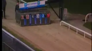 IGB - The Upcoming Events A3  Semi-Final 14/02/2020 Race 6 - Shelbourne Park