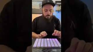 Making a Freestyle Beat with Ableton Push 2