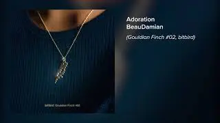 BeauDamian - Adoration