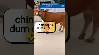 Asking People about Chin Tapak Dam Dam🥺😡🤣 | #trending #paddy for u#chintapakdumdum #trendingshorts
