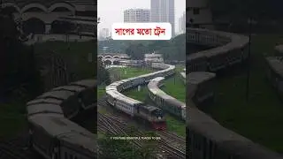 Amazing snake shape train