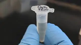 Inoculations Tip #3: Antibiotic Resistance Assistance