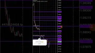 #forex #funny #comedy #bitcoin #satraders #forexhedging #thisguy #crypto #trading #nq #arodrigoforex