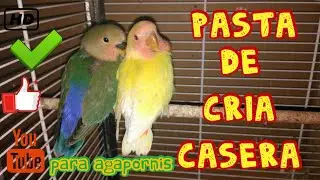 Pasta de cría casera (Fauna Indoor)