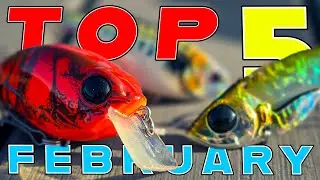 Top 5 Baits For February Bass Fishing!