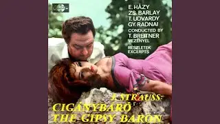 Barinkay belépője - 