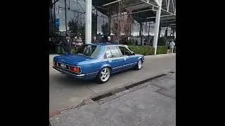 Holden VH Commodore