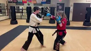 Joe Lewis Fight System Boxing Combinations