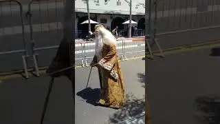 Harry Potter cosplay comic con San Diego 2022