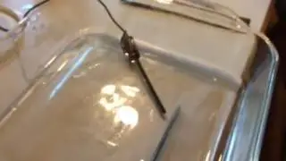 Making water from hydrogen and oxygen