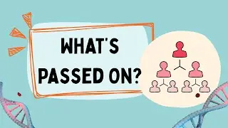 Which Best Defines Breeding Value? | Simple Explanation for Animal Breeding Students 🧬🐄