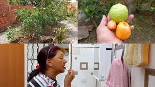 Rotina na 🏠 de Goiás dia tranquilo