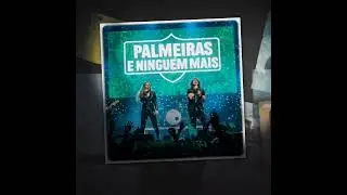 Palmeiras E Ninguém Mais💚🤍💚 #Palmeiras #musica #music #rock #viral 