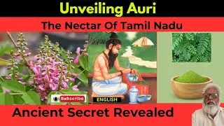 The Ancient Tamil Herbal Treasure | Indigo Trade & Siddha Medicine Unveiled