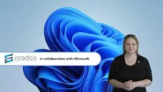 Scadco's Microsoft 365 Copilot Chat in Outlook: Summary Overview