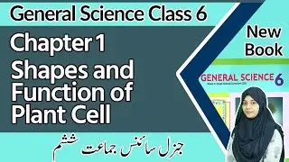 Class 6 Science Chapter 1 - Shapes and Function of Plant Cell - 6th Class General Science Chapter 1