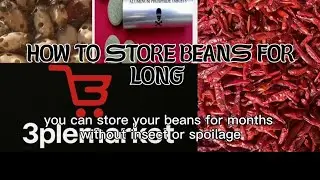How to Store Beans for Months Without Insects or Spoilage | Food Storage Tips