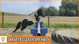 Vrij springen met Smarties | PaardenpraatTV