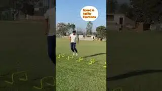 Best Exercises for Cricketers #speedtraining #agility #cricket #shorts #shortsvideo #viral #youtube