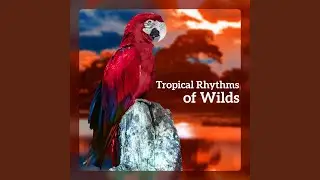 Exotic Sounds