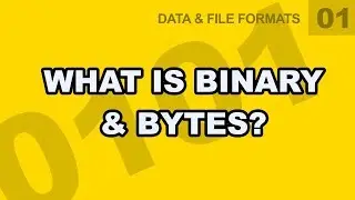 Data File Formats: 01 - What is Binary & Bytes