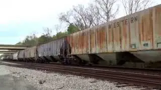 NS 8407 leads the NS V18