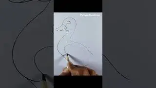 Duck drawing shorts #drawing #pencil_sketch #sketch #drawingsforbeginners #shortvideo #reelvideo