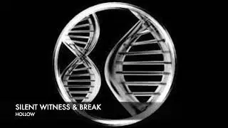 Silent Witness & Break - Hollow [DNAudio]