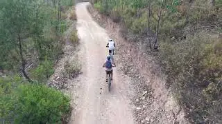 MTB - Air 3S obstacle avoidance tracking test (trees)