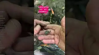 mercury found deep in the ground #metaldetecting #treasuresearch #silver #god #gold #funny #treasure