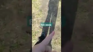 28 сентября 2024 г.