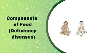 Components of Food || Deficiency diseases || VI Class