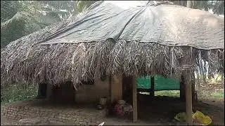 PEACEFUL VILLAGE LIFE🌴🌴🌴!NATURE'S BEAUTY 🌱🌾🌻IS EXCELLENT 👍👍👍!