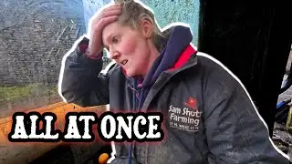Sick Calves, Burst Pipes & No Break