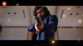 Animal Box Office Collection | Animal Movie | Ranbir | #Vdobox #ranbirkapoor #bobbydeol #animal