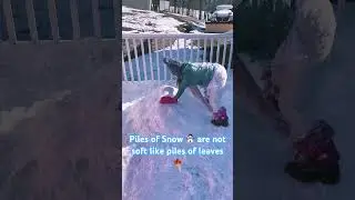 Piles of Snow are Not Soft like piles of leaves! #kidslearning #funny