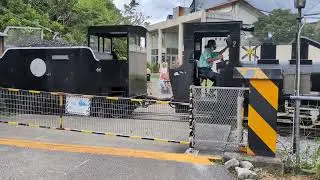 ネオパークオキナワ軽便鉄道、並走撮影(ネットトンネル、踏切)
